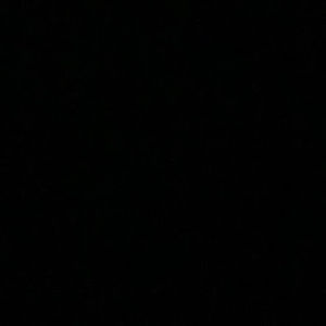 Meet your Posher, Lucy